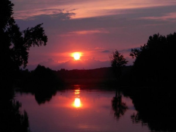 Олександр Полійчук. 16 «лайків»